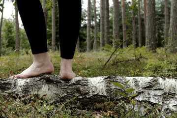 Woman is standing barefoot on birch tree trunk in forest area. Mindful walk and nature connection.