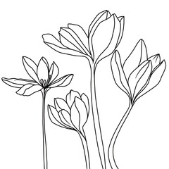 Floral coloring. 
Silhouette of flower lines. 
Print for postcards, clothes, textiles, invitations.