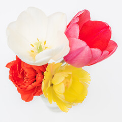 birds eye view of colorful tulips in a vase