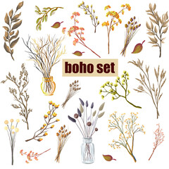 Set of plants and flowers in boho style. Dried wild herbs and flowers. Isolated vector © TanyaArt