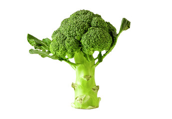 Broccoli vegetable isolated on white background with clipping path.