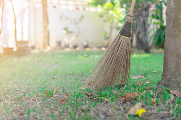 A broom leaned against a tree in the front yard.