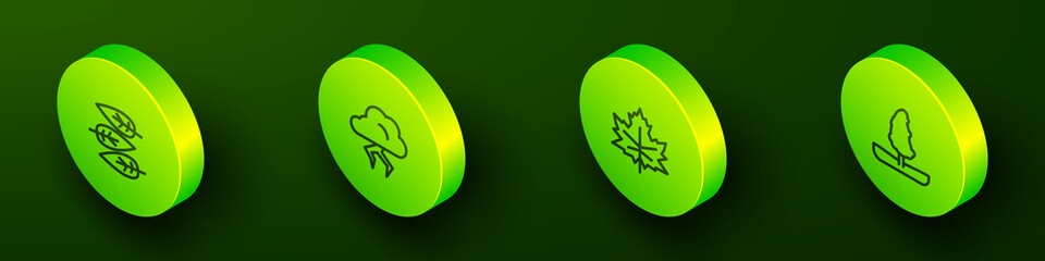 Set Isometric line Leaf or leaves, Storm, and Tree icon. Vector