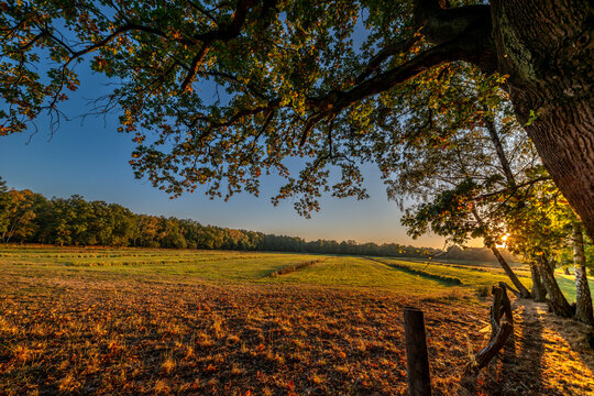 Das Naturschutzgebiet Boberger Niederung in Hamburg