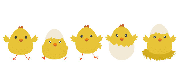 A set of cheerful yellow Easter chicks. Cute chickens isolated on white background. Elements for Easter design and print.Vector illustration