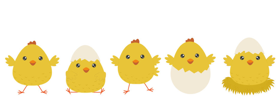 A set of cheerful yellow Easter chicks. Cute chickens isolated on white background. Elements for Easter design and print.Vector illustration