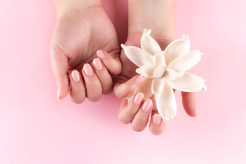 Female hands with beautiful natural manicure - pink nude nails with white dried flower on pink background. Nail care concept