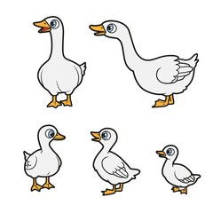 Big and small cartoon geese and goslings color variation for coloring book on white background