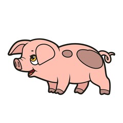 Cute cartoon pig color variation for coloring book on white background