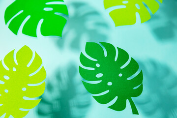 Tropical leaves cut out of paper.