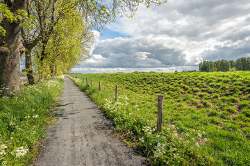 Narrow cycling and walking path with a row of trees on one side and a fence with wooden posts and wire mesh on the other. The photo was taken at the beginning of the spring season in the Netherlands.
