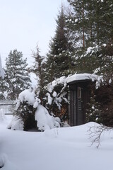 Snow-covered summer cottage. Trees and House