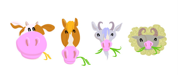 Domestic animals. Flat style horse, goat, sheep, cow heads isolated.