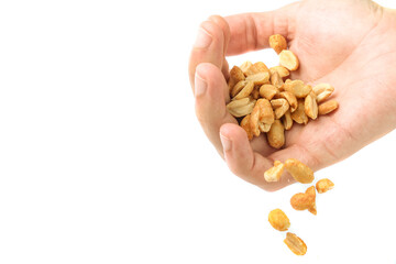 Peanut kernels falling from a hand, with copy space and white background.