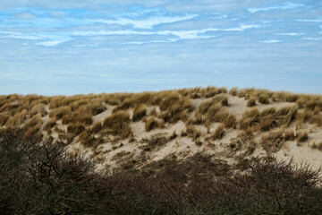 walking in the dunes near amsterdam netherlands