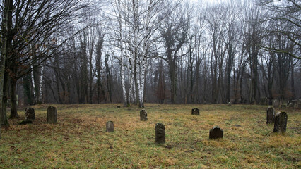 Graveyard in the forest, winter