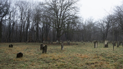 Graveyard in the forest, winter