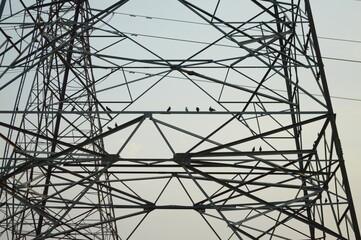 electric pylon in country Thailand