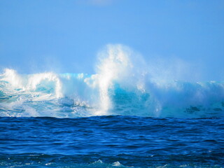 Obraz premium exploring the beautiful beach coastline in hawaii