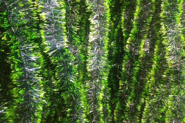 Obraz premium green room decoration