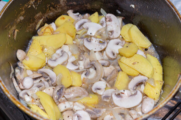 fry mushrooms in a pan