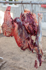 Carcasses of horses are hung out in the open air for airing before meat processing. Carcasses of horses are ready for cutting. Meat business concept.