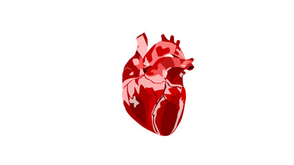 Realistic red human heart . Healthcare industry idea design element