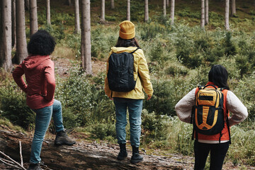 Friends hiking together in the forest