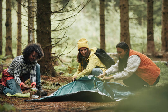 Friends setting up their camp in the woods