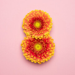 International Women's Day. Banner, flyer, postcard for March 8. Gerbera in the shape of the number...