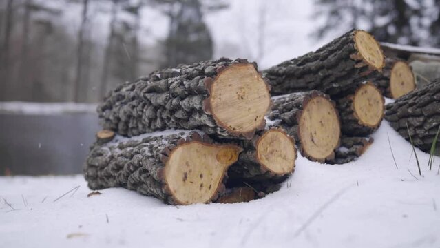 Freshly cut firewood. Stacked lumber covered in snow. Camera pans right.