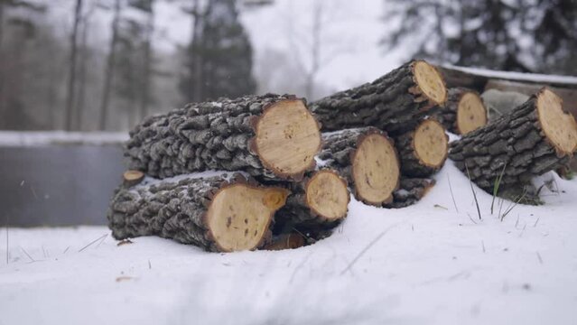 Freshly cut firewood. Stacked lumber covered in snow. Camera pans up.