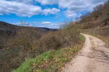 Fototapeta na wymiar A hiking trail through the vineyards near Rüdesheim am Rhein/Germany in spring 