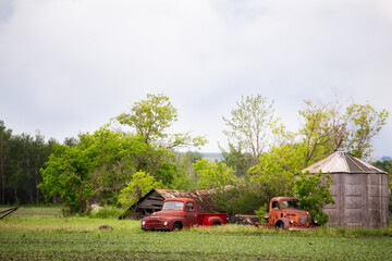 Two vintage weathered trucks abandoned in a broken down farm yard in a summer landscape