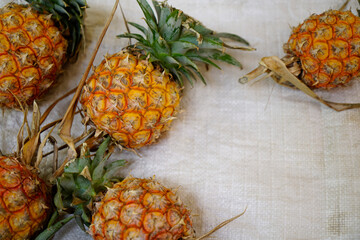 Pineapple is a type of herbaceous plant. high in vitamin C.