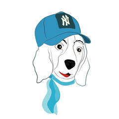 A cute beagle puppy in a blue baseball cap with the New York logo and a blue scarf around his neck.