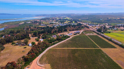 Vineyards from above, filmed from a dji drone. Harvest, winemaking, grapes, vines, south africa