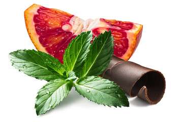 Mint and blood orange slice  with chocolate curl, paths
