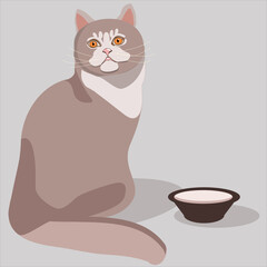 Cute fluffy cat. Cute animal. Domestic cat.