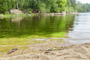 green water of the bay on the lake