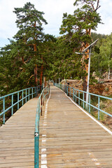 Fototapeta premium walking and cycling paths in the forest