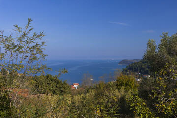 Fototapeta na wymiar Panoramic view across green hills to Adriatic sea bay and land on horizon under blue sky on sunny summer day