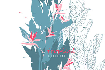 Horizontal background with strelitzia flowers and leaves. Floral poster with bird of paradise or crane flower. illustration with silhouettes of tropical plants and flowers.