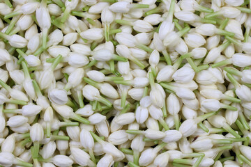 Jasmine floating thailand