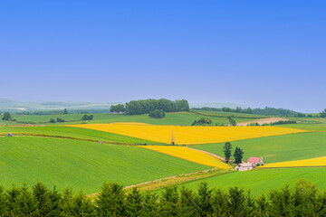 Obraz premium 비에이