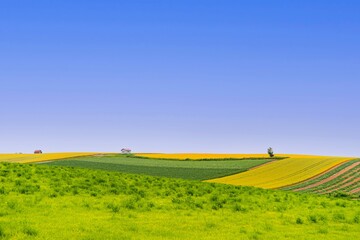 Obraz premium 비에이