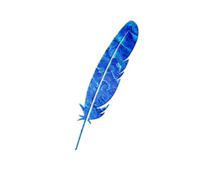 Feather ink pen Blue Waves Icon Logo Symbol illustration