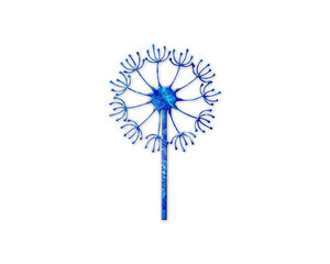 Dandelion, Make a Wish Blue Waves Icon Logo Symbol illustration