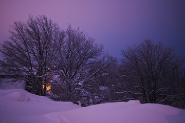 Winter in Russia, lots of snow. Evening winter landscape, twilight.
