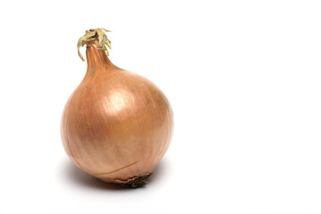 Closeup ripe onion brown peel white background